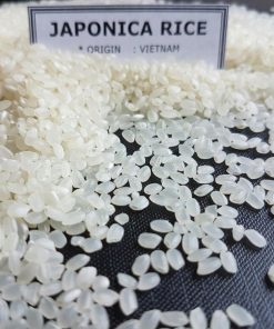 JAPONICA RICE 5% BROKEN-ROUND GRAIN RICE (SUSHI RICE)