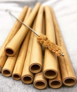 natural bamboo straws combo (10 tubes + 1 brush)