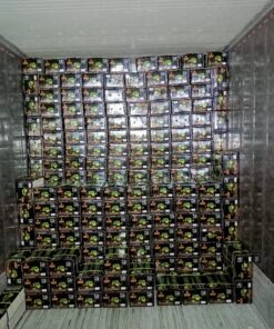 Alternative view of Fresh Guava (white flesh) VietNam