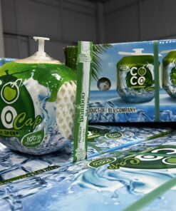 Alternative view of Fresh Young Coconut Ben Tre