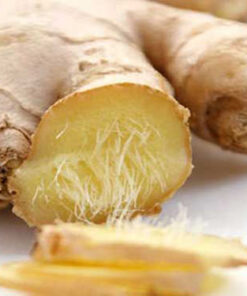 Alternative view of Ginger Vietnam