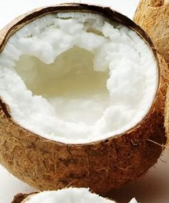 Macapuno Coconut VietNam