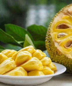 Alternative view of Frozen jackfruit VietNam