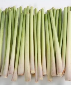 Alternative view of Lemongrass VietNam