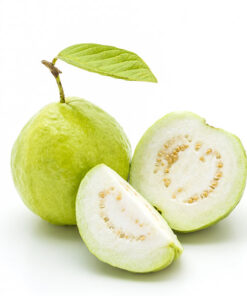 Fresh Guava (white flesh) VietNam