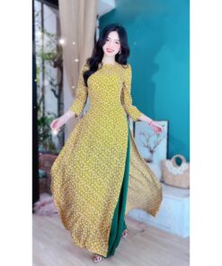 Alternative view of Ao Dai VietNam