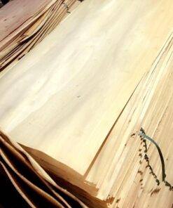 Acacia Core Veneer Vietnam( Ván bóc keo)