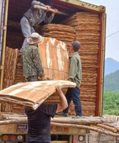 Alternative view of Acacia Core Veneer Vietnam( Ván bóc keo)