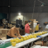 Custom Scented Candle Manufacturing